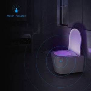 UV Sanitizing Toilet Light - Stylehomes.store