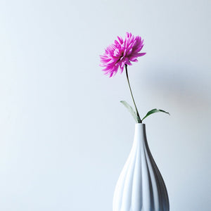 Tall Textured Porcelain Vase - Stylehomes.store